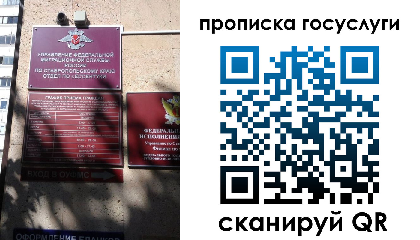 временная регистрация поиск в Павловске