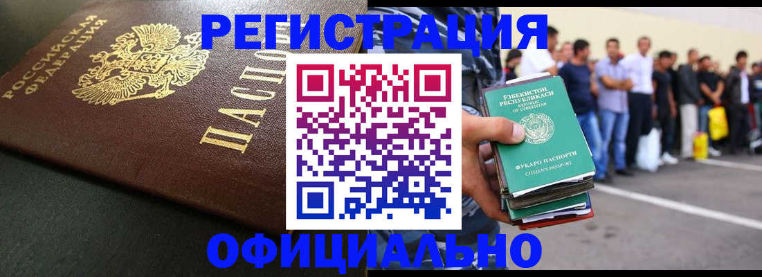 прописка 2025 в Павловске